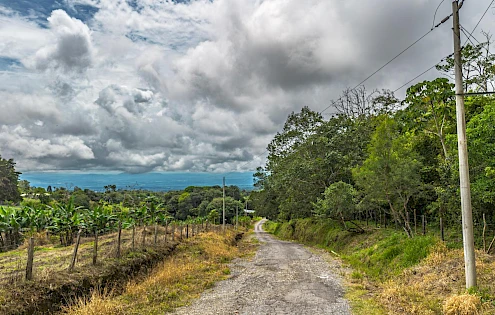 Terreno con vistas al bosque natural y a la montaña