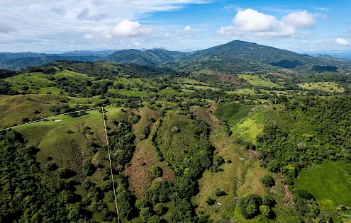 29 Ha Farm in Palmira Las Tablas Los Santos Panama