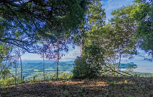 Incredible Mountain Ridge Property for Sale