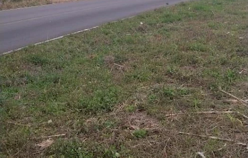 Venta de terreno frente a vía que conduce a Río Sereno y Santa Clara