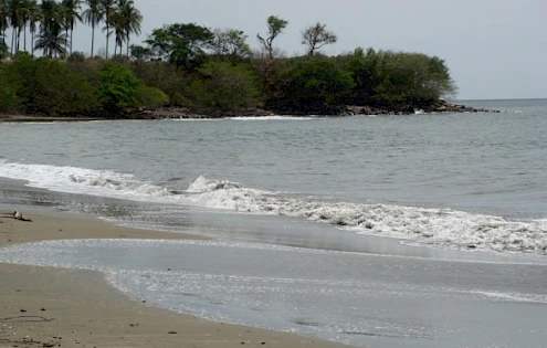 Incredible Beachfront Farm for Sale