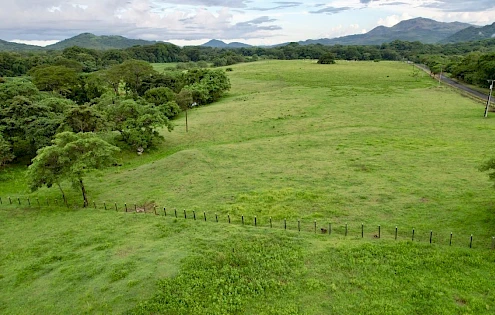 FINCA GANADERA CON CASA FAMILIAR Y RÍOS