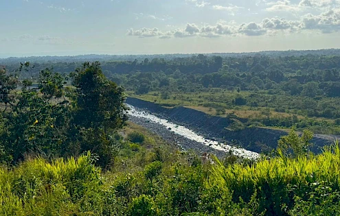 Agricultural Farm for Sale in Boquerón
