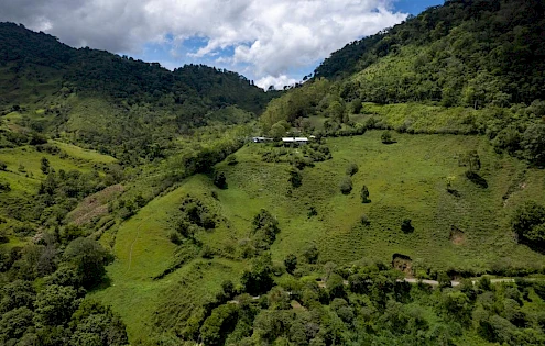 Natures Wealth in Volcan Chiriqui