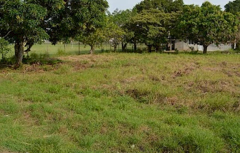 Lote para alquiler cerca de Gorgona Mall