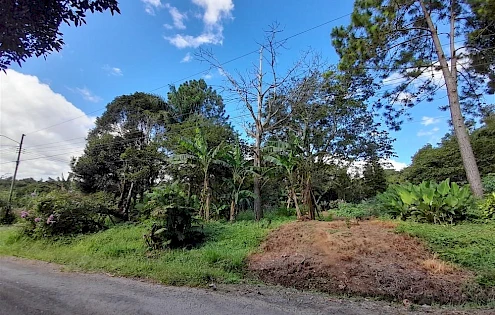 PALMIRA LOT FOR SALE, YOUR DREAM HOMESITE AWAITS