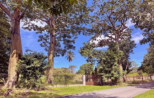 Fabuloso lote residencial a 5 minutos de Coronado.