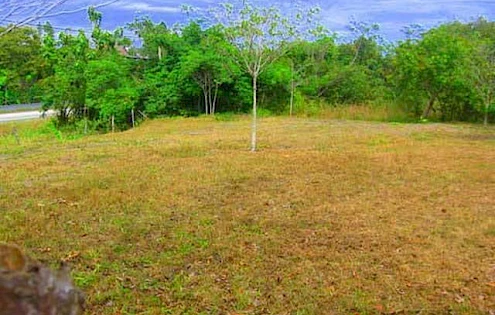 Lot for rent at the Highway San Carlos
