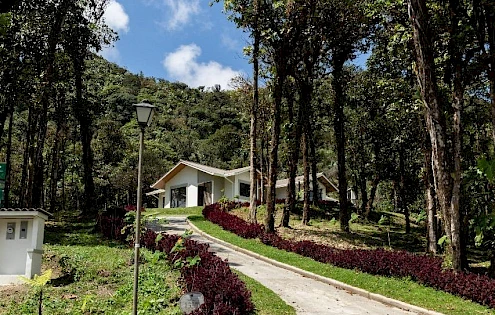 PH Valle Bonito - Begonia 1357