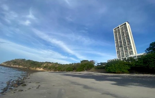 Se Vende o Se Alquila apartamento de 1 recamara en El Palmar Residences