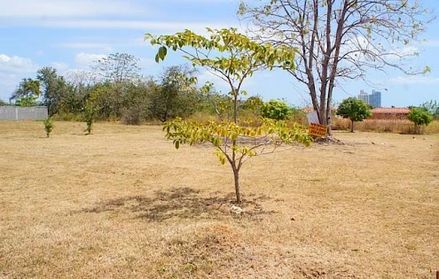 Se Vende - Coronado - Terreno