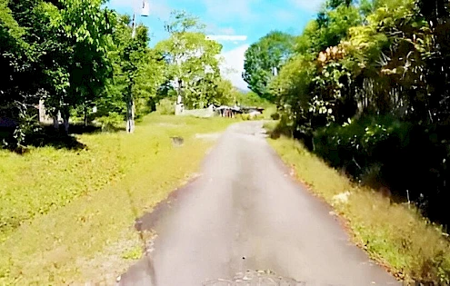8 Has of Fertile Land in Potrerillo Arriba
