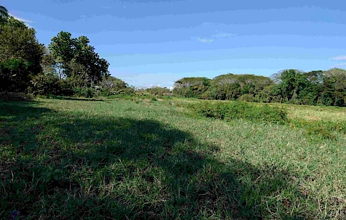IDEAL LAND FOR A DEVELOPMENT