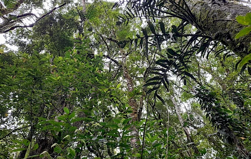 7 hectares of scenic land for sale