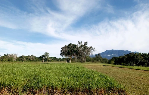 Land for sale in Potrerillos Arriba