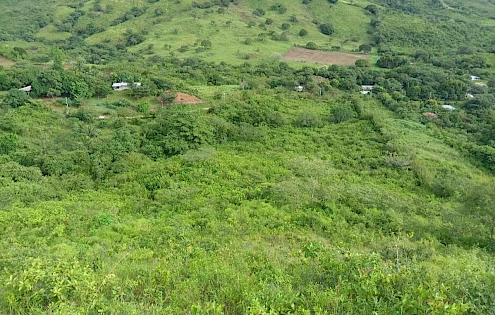 Finca de 5.9 Hectáreas en Venta en La Pintada