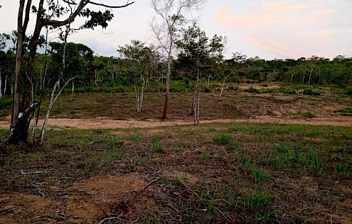 Venta de Lote en Penonomé