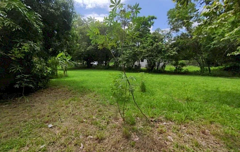 FLAT LAND FOR SALE! BEJUCO RURAL PARCELATION