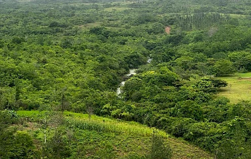 Lote de 5 hectáreas en Nansal, Penonomé, Coclé
