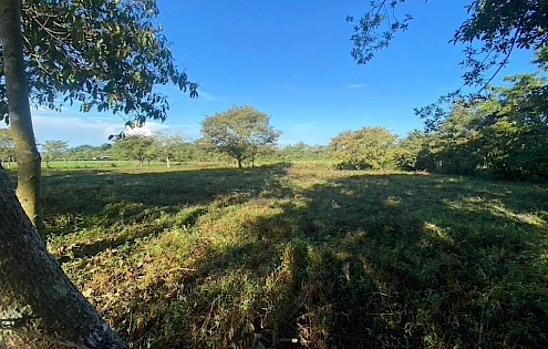 TERRENO EN POTRERILLOS ABAJO