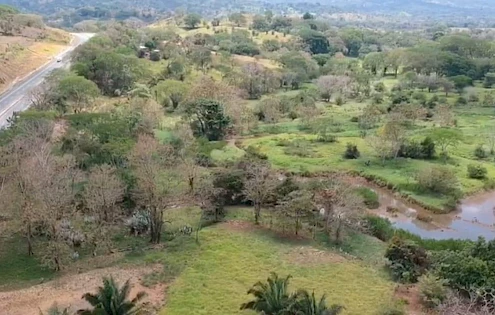 Lot for sale in Guabala with river, estuary
