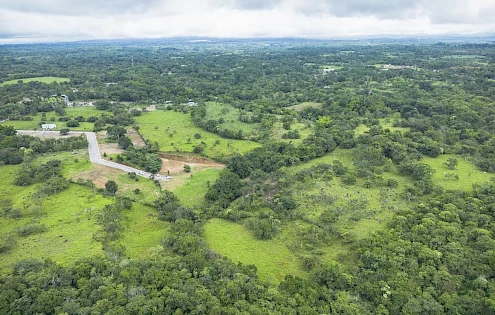 Development Opportunity or Huge Home Site