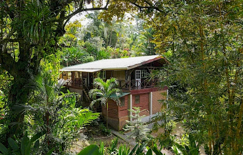 Bocas del Toro, Home immersed in Nature