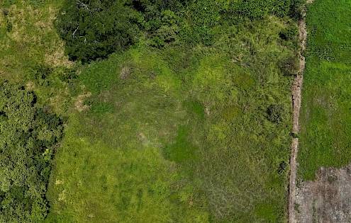 Venta de Terreno en Juan Hombrón, Provincia de Coclé
