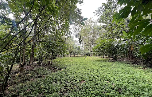 Venta de Terreno en Nuevo Vigía – Colón
