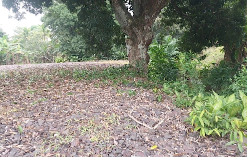 Se Vende Terreno en Arraiján, Panamá Oeste