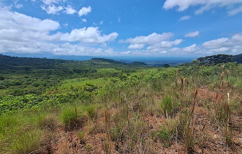 Terreno Agro - Ganadero en Venta en Boquete