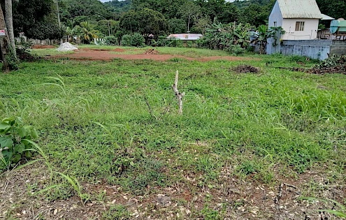 land for sale in La Chorrera