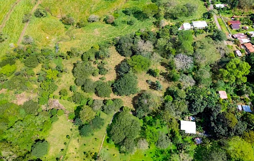 Beautiful 6.92 Acre Boutique Farm in Las Lajas