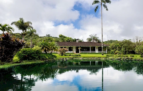 LUXURY FAMILY ESTATE IN VOLCAN