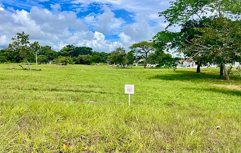 LOT IN PALMERAS DEL GOLF - CORONADO