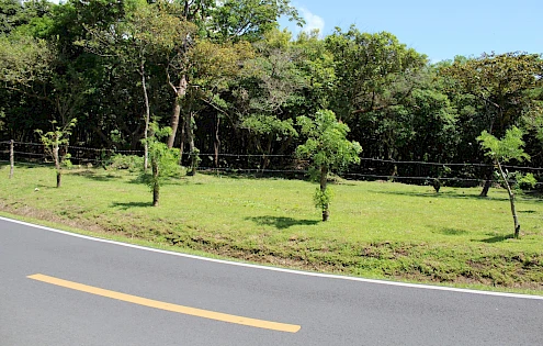 Discover Your Dream Lot - El Valle Anton