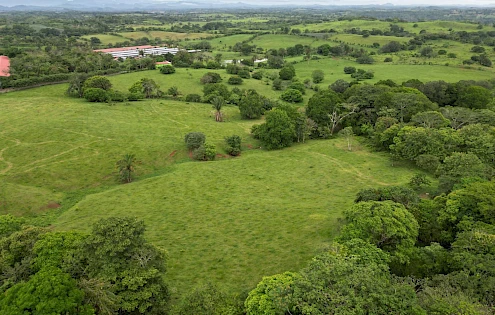 125 Acres of Land in El Arado, La Chorrera
