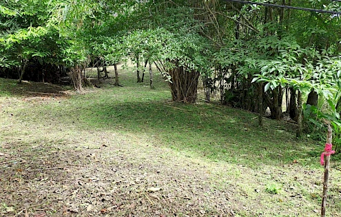 Venta de Terreno en Isla Colon