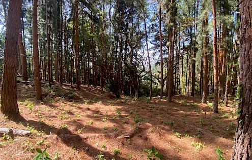 AMPLIO TERRENO CON VISTAS A LA MONTAÑA