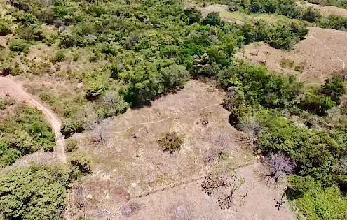 TERRENO PLANO PARA PROYECTO