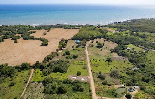 Land For Sale in Pedasi