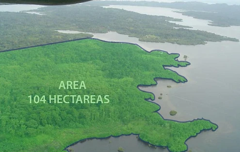 Land in Cristobal Island, Bocas del Toro, 100 has.