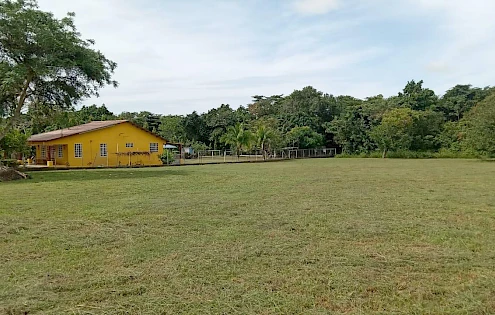 Terrenos en EL ESPINO DE SAN CARLOS
