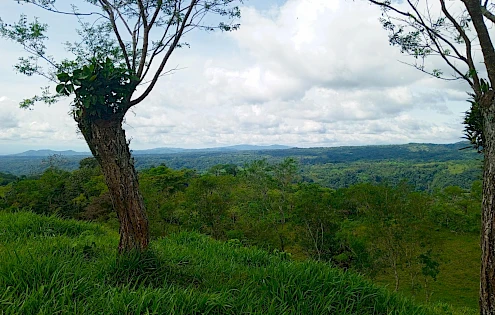Finca en Santa Rosa para Ganadería y Agricultura