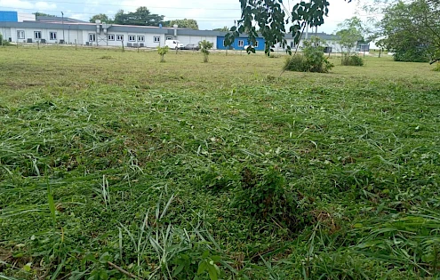 Terreno