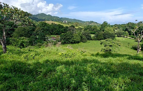 Farm for sale in Costa Arriba, Colón