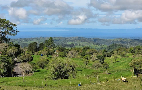Terrenos Panorámicos en Cordillera Arriba