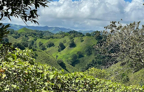 98.4 HA LA PRIMAVERA FARM FOR SALE - CHIRIQUI