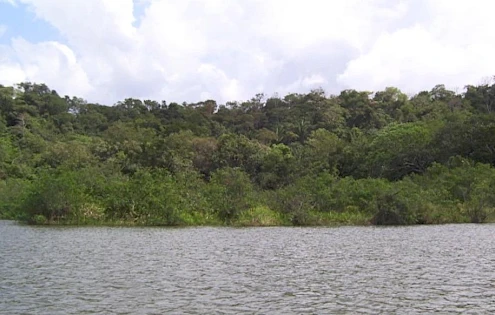 For sale near Gatun Lake