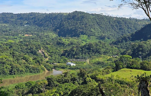 Agricultural Farm for Sale in Caizán, Renacimiento
